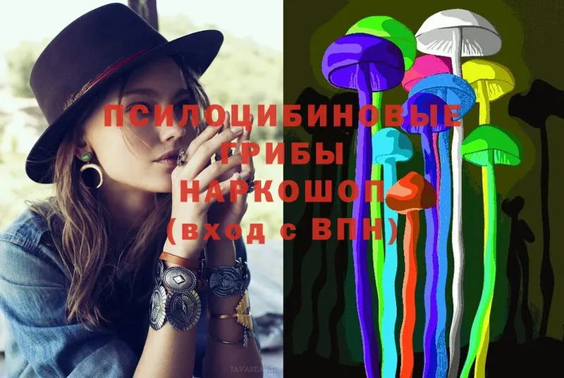 купить  цена  Вязники  blacksprut ТОР  Галлюциногенные грибы Psilocybine cubensis 